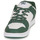 Shoes Men Low top trainers DC Shoes MANTECA 4 White / Kaki
