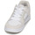 Shoes Women Low top trainers DC Shoes MANTECA 4 Beige / White