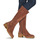 Shoes Women Boots El Naturalista TICINO Brown