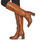 Shoes Women Boots Mjus NITRO BOTTES Brown