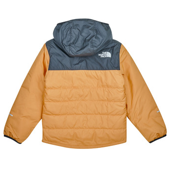 The North Face Boys Never Stop Synthetic Jacket Brown