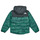 Clothing Boy Blouses The North Face Boys Never Stop Synthetic Jacket Green
