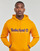 Clothing Men sweaters Timberland 50th Anniversary Est. 1973 Hoodie BB Sweatshirt Regular Yellow