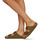 Shoes Women Mules Birkenstock ARIZONA Green