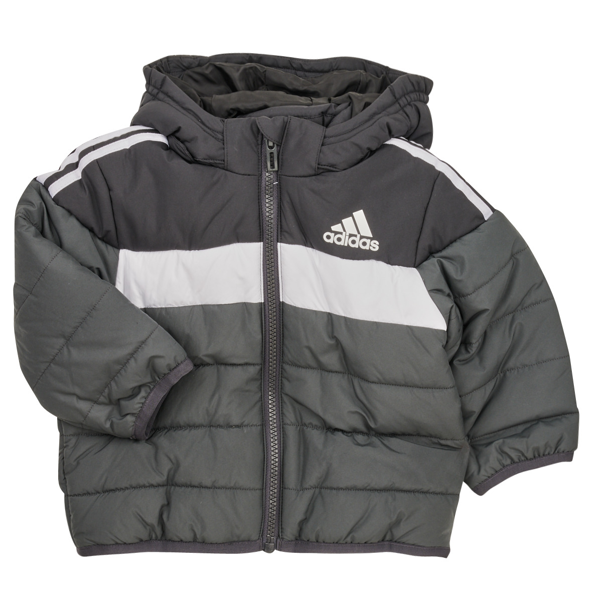 Adidas Sportswear IN F PAD JKT Black - Free delivery | Spartoo NET ! -  Clothing Duffel coats Child | Sportjacken