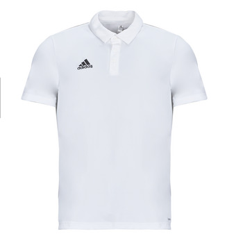 Clothing Men short-sleeved polo shirts adidas Performance ENT22 POLO White