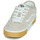 Shoes Low top trainers Vans Rowley Classic Beige