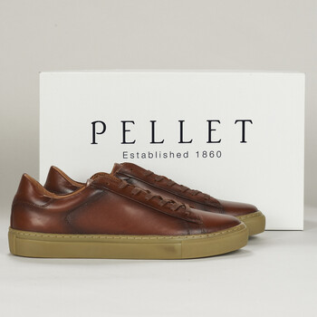 Shoes Men Low top trainers Pellet PEDRO Veal / Smooth / Brushed / Cognac