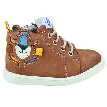 Shoes Boy High top trainers GBB BASILE Brown