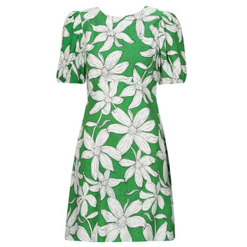 Clothing Women Short Dresses Desigual VEST_NASHVILLE Green / White