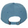 Clothes accessories Men Caps Patagonia P-6 LABEL TRAD CAP Blue