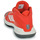 Shoes Basketball shoes adidas Performance Bounce Legends Red