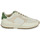 Shoes Men Low top trainers Clae JOSHUA APPLE Ecru / Green