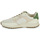 Shoes Men Low top trainers Clae JOSHUA APPLE Ecru / Green