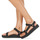 Shoes Women Sandals Teva MIDFORM UNIVERSAL Black