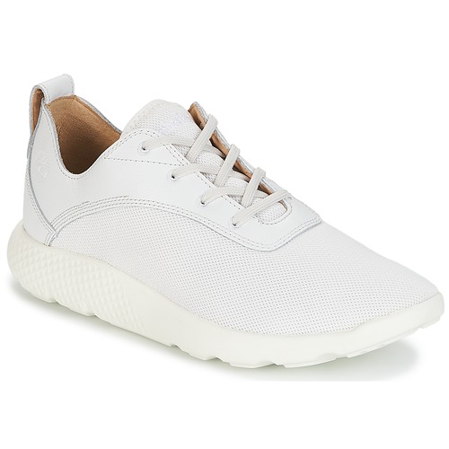 Timberland White Free delivery | Spartoo NET ! - Shoes Low top Men USD/$123.20