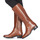 Shoes Women Boots Geox D FELICITY Brown